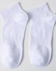 Premium Cotton Crew Socks with 200N High Elasticity for Men and Women